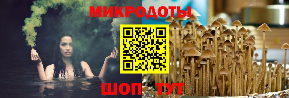 Галлюциногенные грибы прущие грибы  Вход с VPN  Протвино  Псилоцибиновые грибы Psilocybine cubensis 